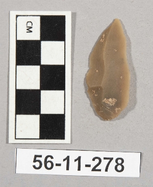 56-11-278