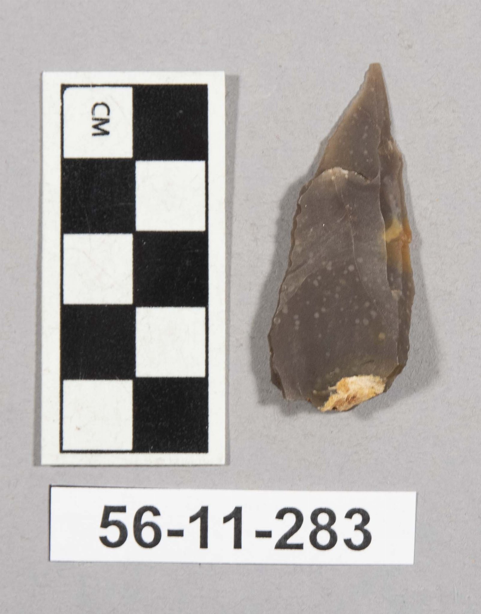 697204