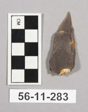 56-11-283