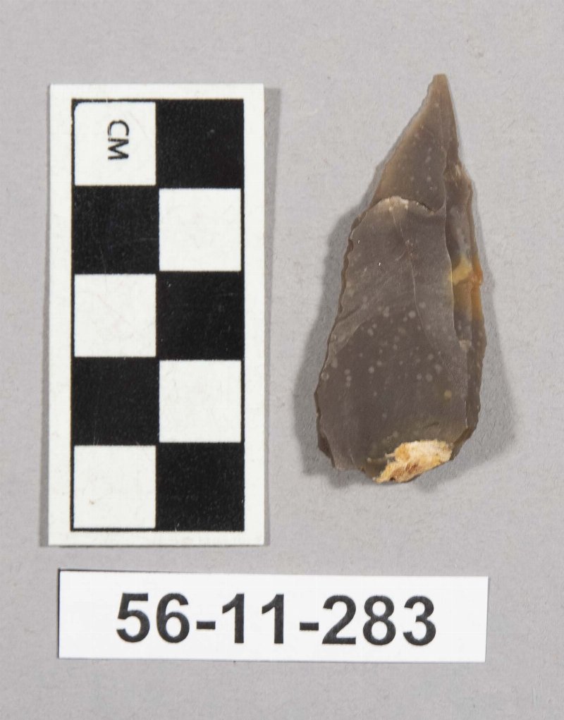 697204