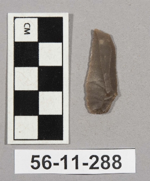 56-11-288