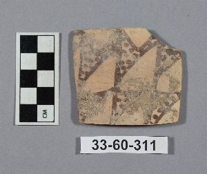 33-60-311