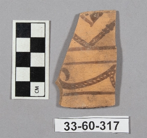 33-60-317