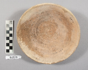 B2919