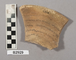 B2929
