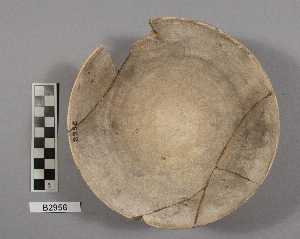 B2956