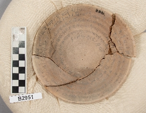 B2951