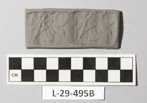 L-29-495B