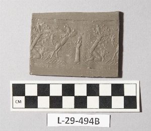L-29-494B