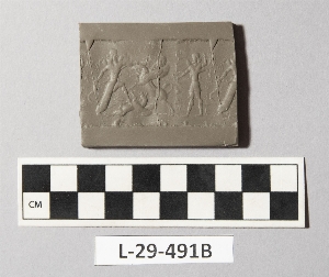 L-29-491B