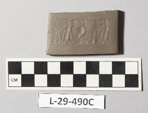 L-29-490C
