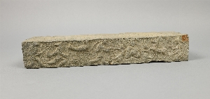 C172