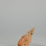 701001