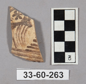 33-60-263