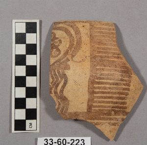 33-60-223