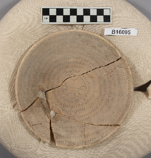 B16095