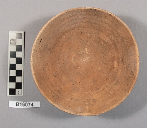 B16074