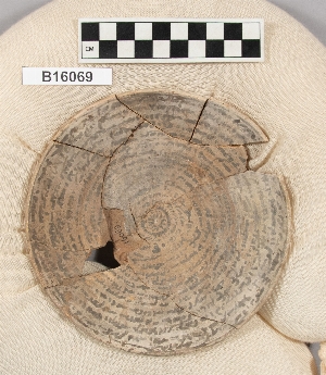 B16069