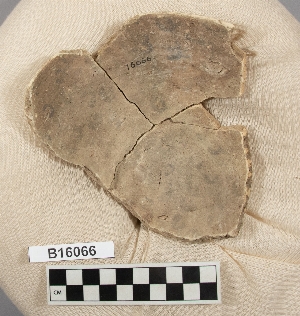 B16066
