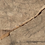 705381