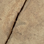 705390