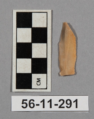 56-11-291