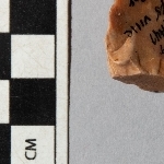 705454
