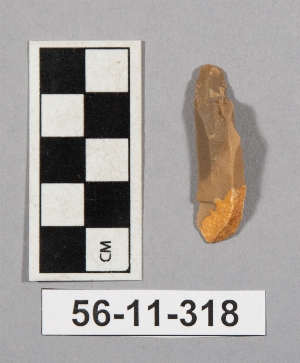 56-11-318