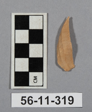 56-11-319