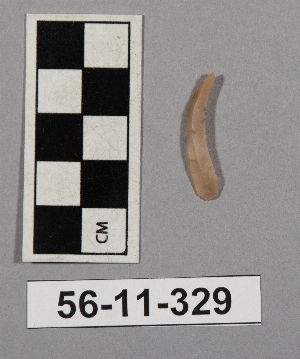56-11-329