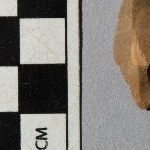 705541