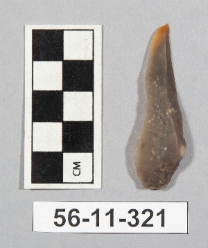 56-11-321