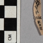 705568