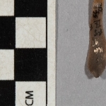 705570