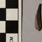 705581