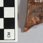 705590