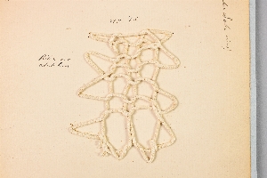 29-158-43