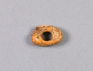 NA7557