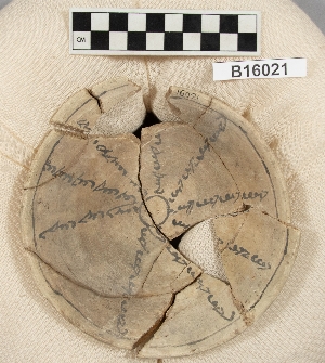 B16021
