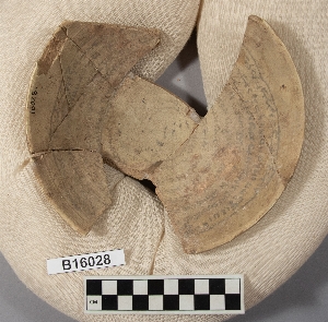 B16028