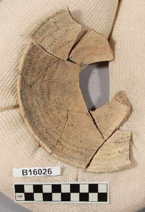 B16026
