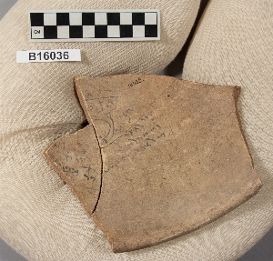 B16036