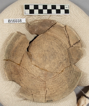 B16038