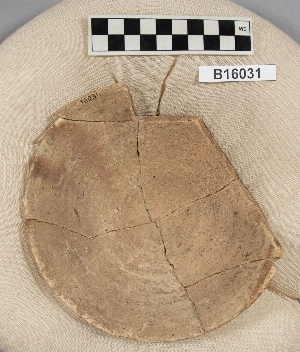 B16031