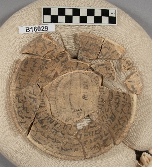 B16029