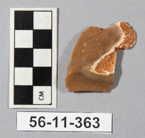 56-11-363