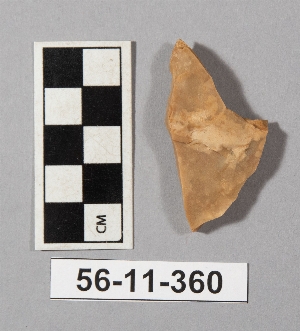 56-11-360