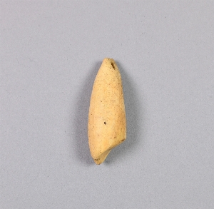 NA6438.6