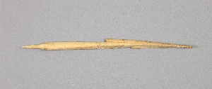 NA6460.1