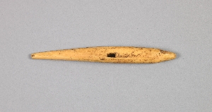 NA7522.1